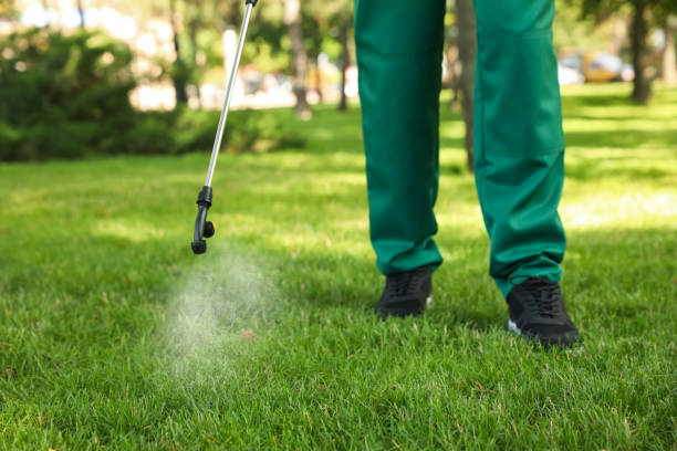 Best Emergency Pest Control  in Calvert, TX
