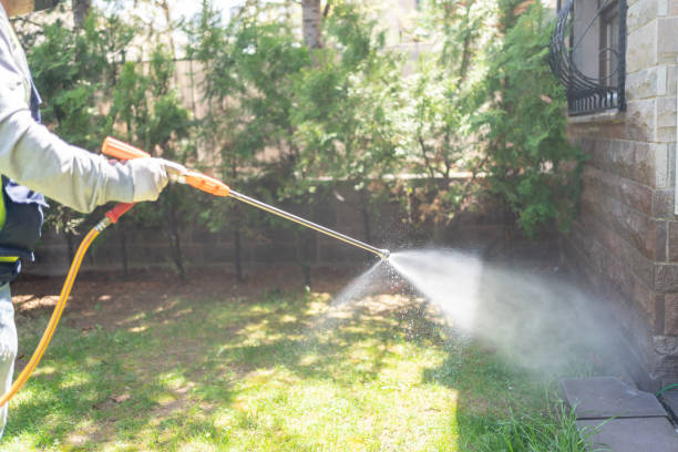 Best Pest Control Near Me in Calvert, TX
