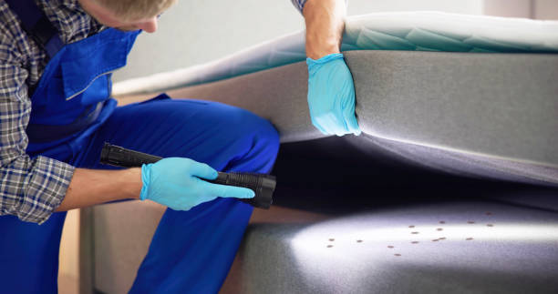Best Affordable Pest Control Services  in Calvert, TX