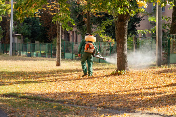 Professional Pest Control in Calvert, TX