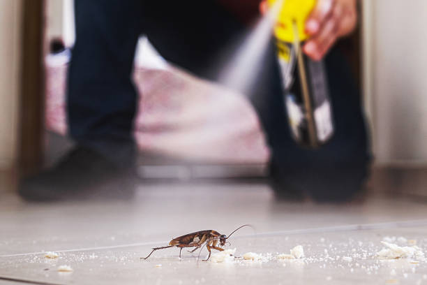 Best Affordable Pest Control Services  in Calvert, TX
