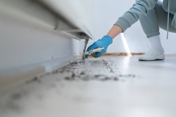 Best Affordable Pest Control Services  in Calvert, TX