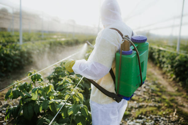  Calvert, TX Pest Control Pros